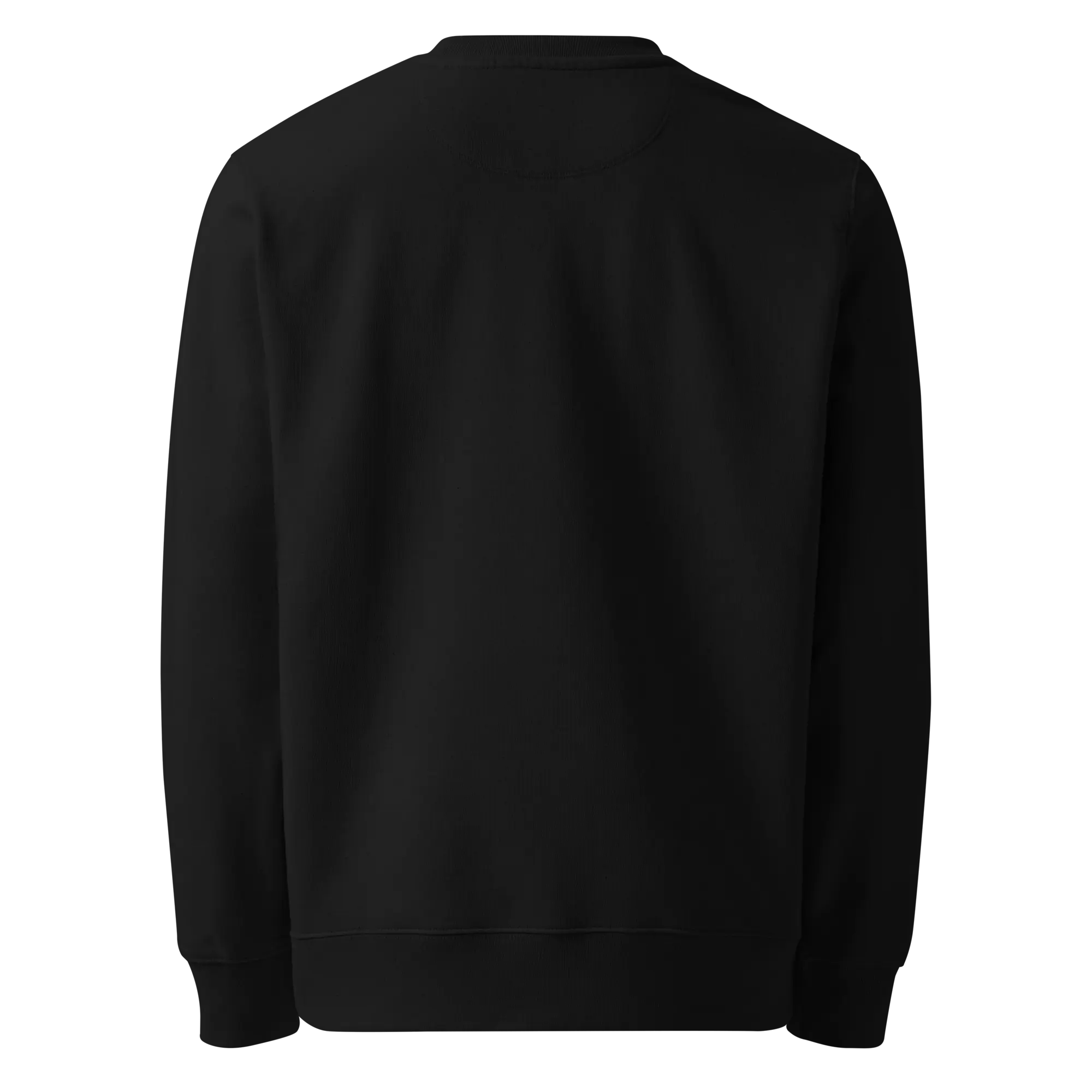 LAPERO Sweatshirt Ecologique Pasteque Noir